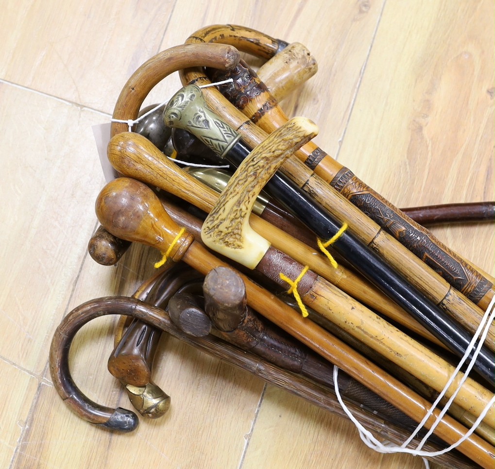 An assortment of walking sticks / canes